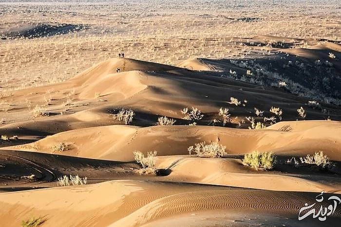 کویر ریگ جن